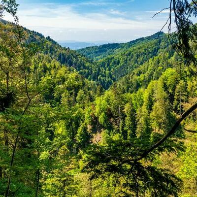 Wehraschlucht, f�nfte Etappe