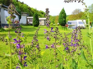 Camping an der Wutach Camping an der Wutach