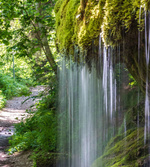 Schluchtensteig - Sintervorhang an der Dietfurt Schluchtensteig - Sintervorhang an der Dietfurt