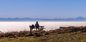 Alpensicht bei der Panoramatafel Dachsberg-Horbach Alpensicht bei der Panoramatafel Dachsberg-Horbach